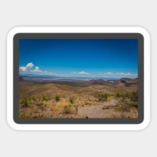 Sotol in the Chihuahuan Desert Sticker